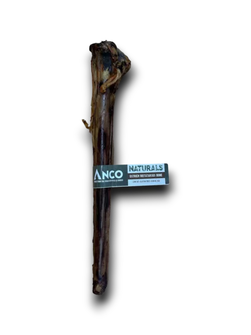 Ostrich Whole Metatarsal Bone